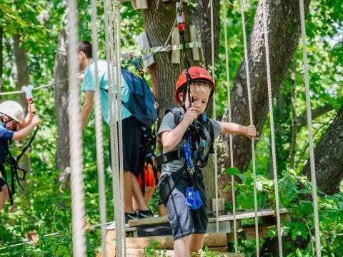 a group of people climbing a tree