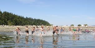 a group of people playing in the water