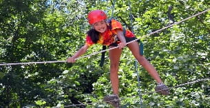 a person in a harness climbing a tree
