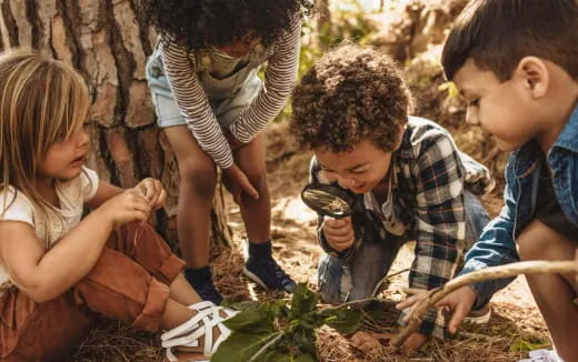a group of children planting plants