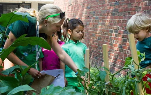 a group of women in a garden