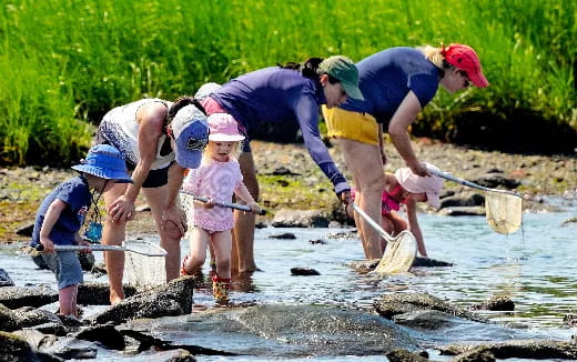 a group of people fishing