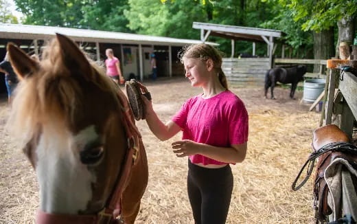 a person petting a horse