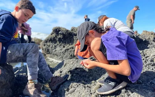 a group of people looking at a rock