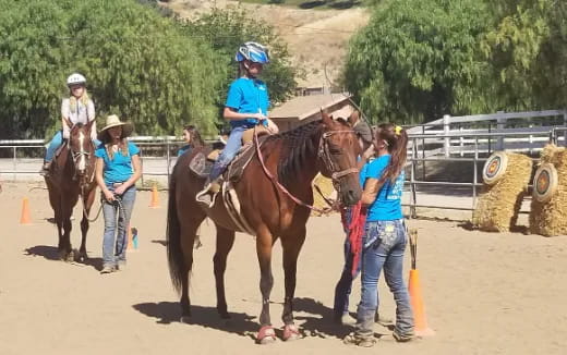 a group of people stand around some horses