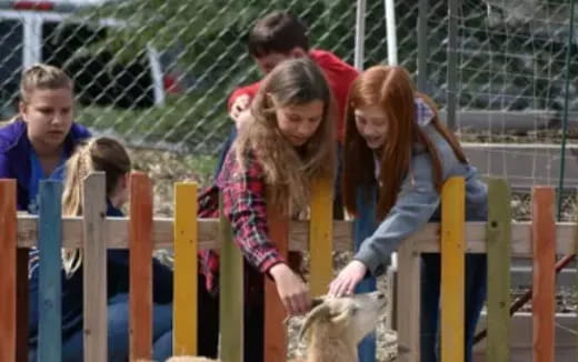 a group of kids playing on a playground