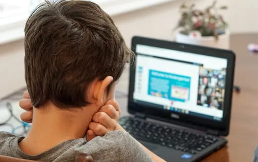 a child looking at a laptop