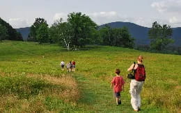 a group of people walking on a grassy hill