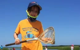 a boy wearing a helmet and holding a baseball bat