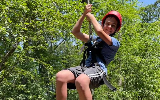 a boy climbing a tree