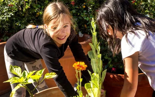 a person looking at a flower
