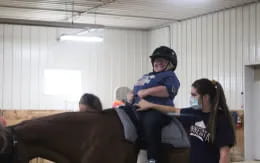 a person riding a horse