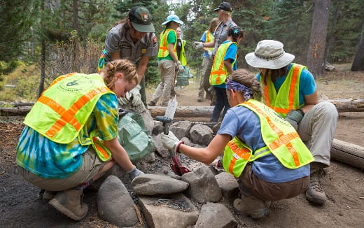 a group of people in the woods