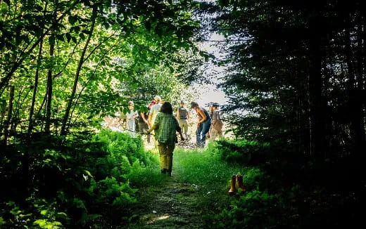 a group of people walking through a forest