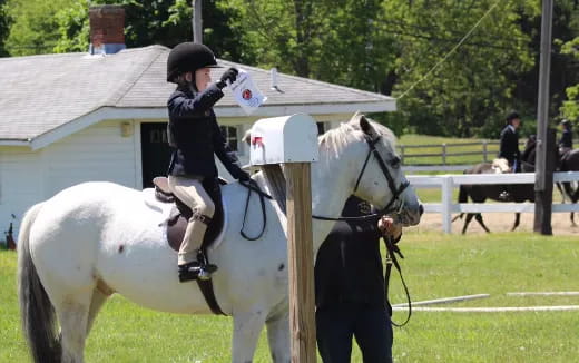 a person riding a horse