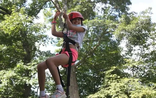 a young girl climbing a tree