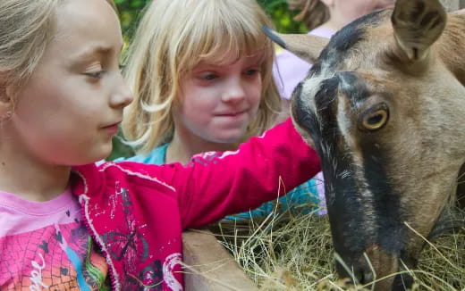 a couple of children looking at a deer
