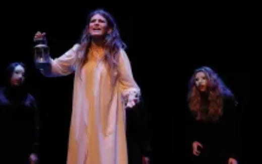 a person wearing a dress