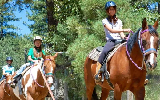 a group of people riding horses