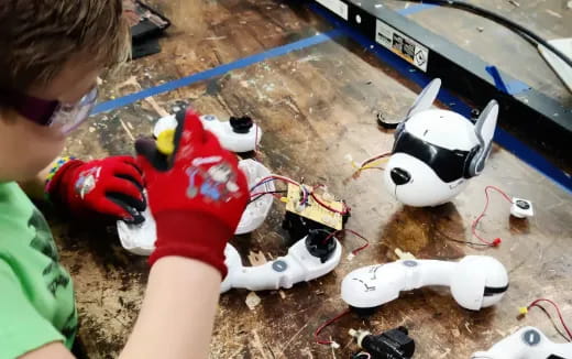 a child holding a toy