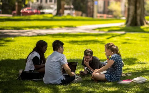 a group of people sitting on the grass