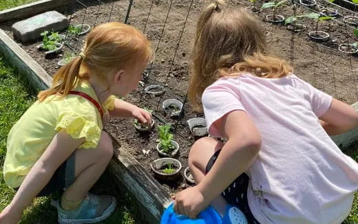 a couple of girls planting plants