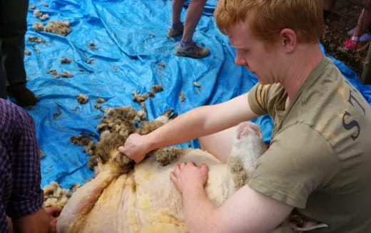 a boy playing with a stuffed animal