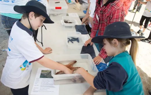 a couple of kids looking at a book