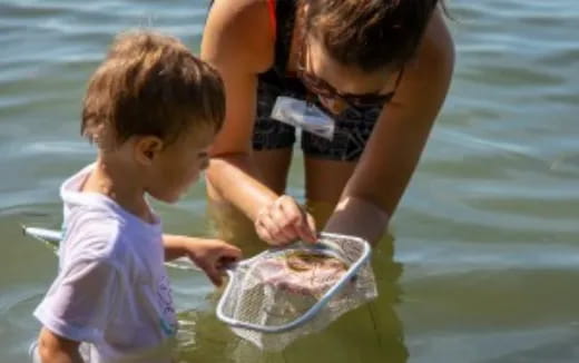 a person and a child playing in the water