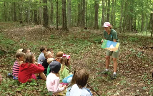 a group of children sitting in the woods