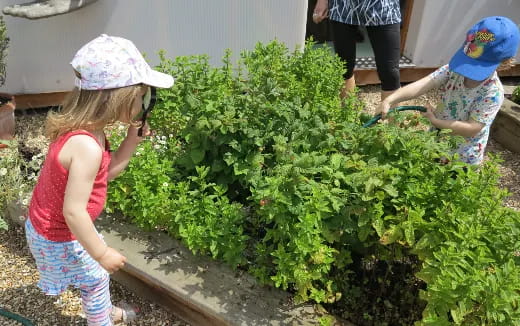 a few children working in a garden
