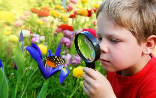 a boy looking at a butterfly