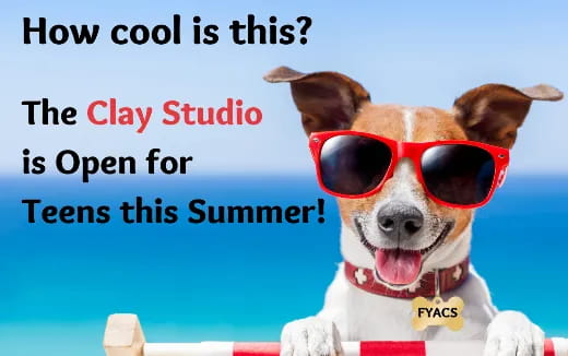 a dog wearing sunglasses