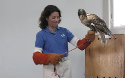 a person holding a bird