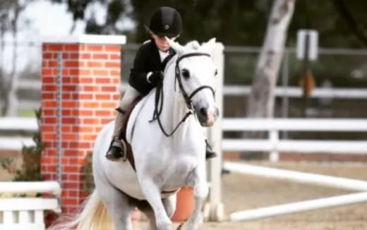 a person riding a horse