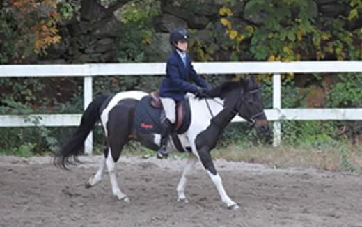 a person riding a horse