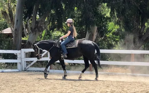 a person riding a horse