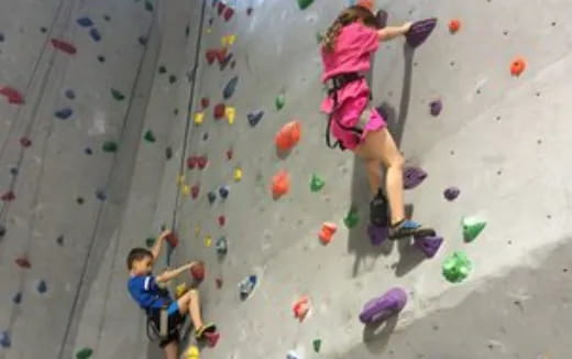 a group of people climbing a rock wall