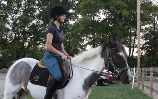 a person riding a horse