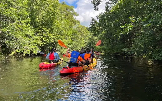 a group of people in kayaks on a river