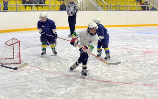 a group of people playing hockey