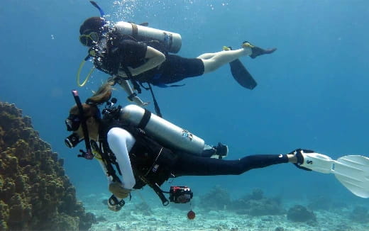 a person sky diving