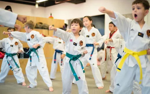 a group of kids in karate uniforms