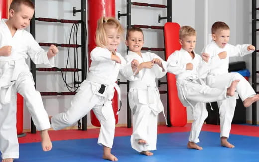 a group of children in karate uniforms