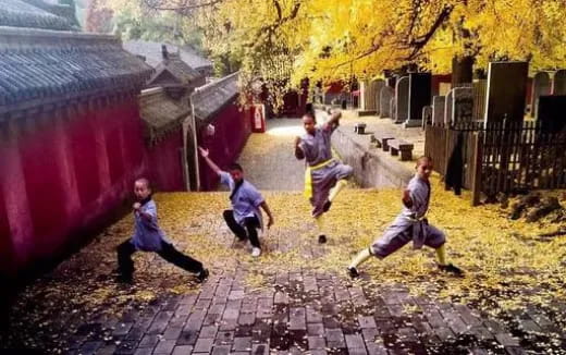 a group of people playing football