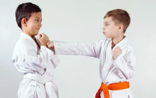 a couple of boys in karate uniforms