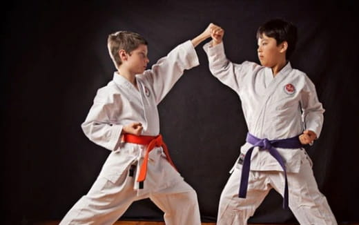 two boys in karate uniforms