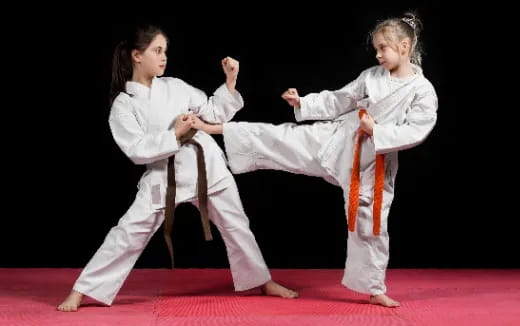 a couple of girls in karate uniforms