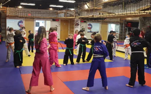 a group of children in a karate class