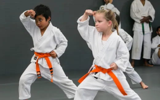 a group of people in karate uniforms